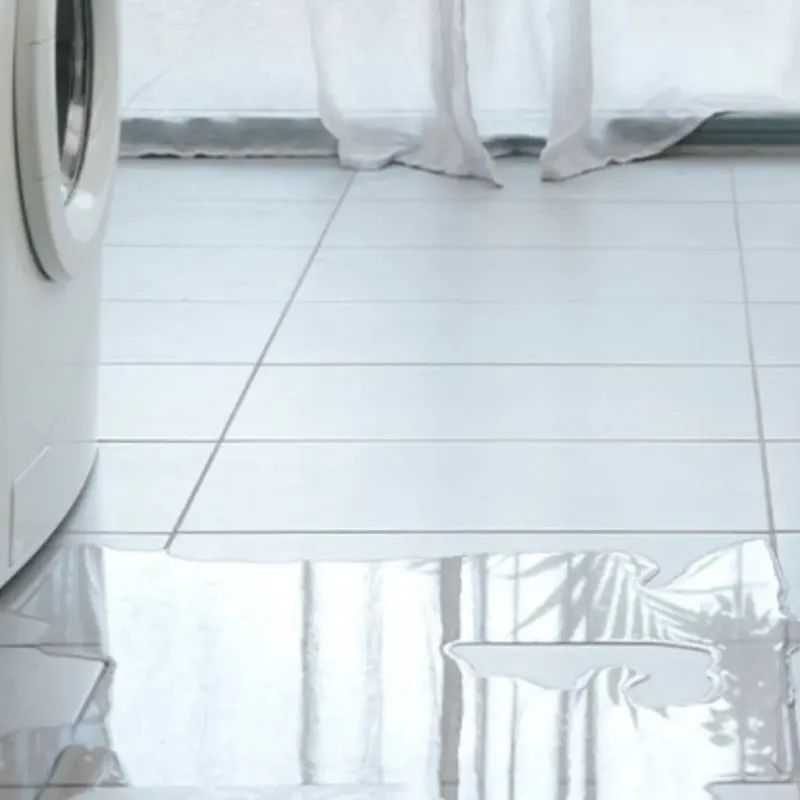 Appliance Leak Cleanup in Gaston County, NC