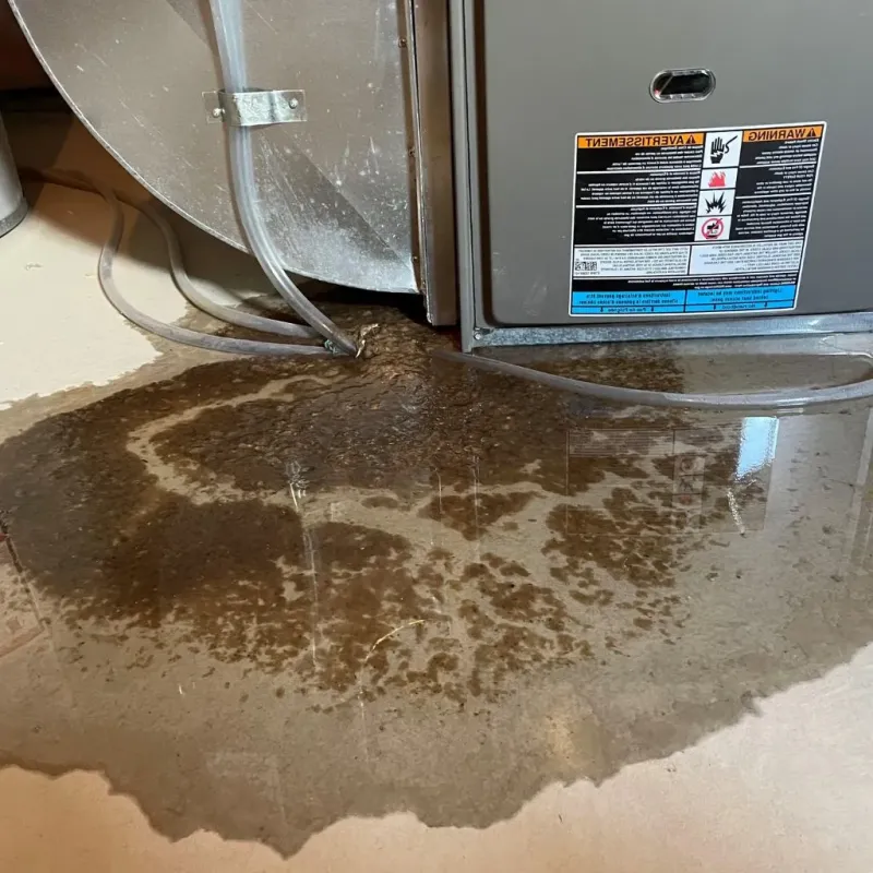Pipe Burst and Leak Restoration in Gaston County, NC